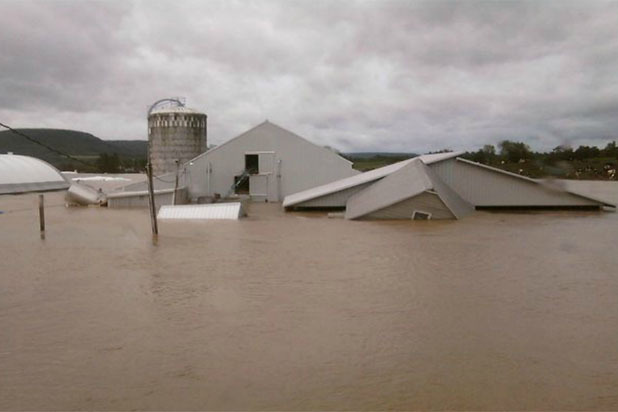 They Showed Us Just How Bad Hurricane Irene Was