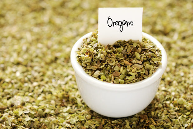 Oregano