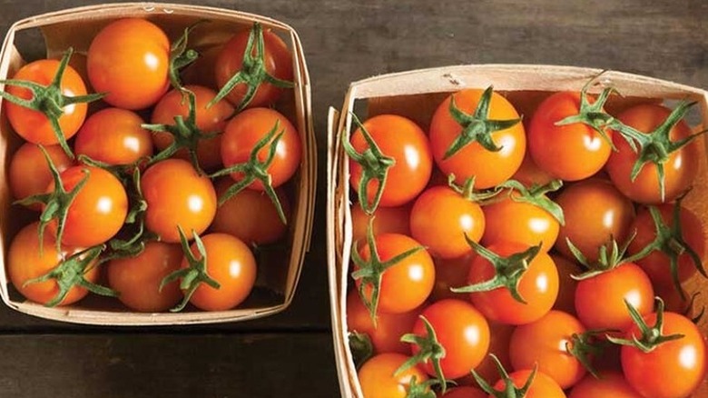 Baskets of Sun Gold cherry tomatoes