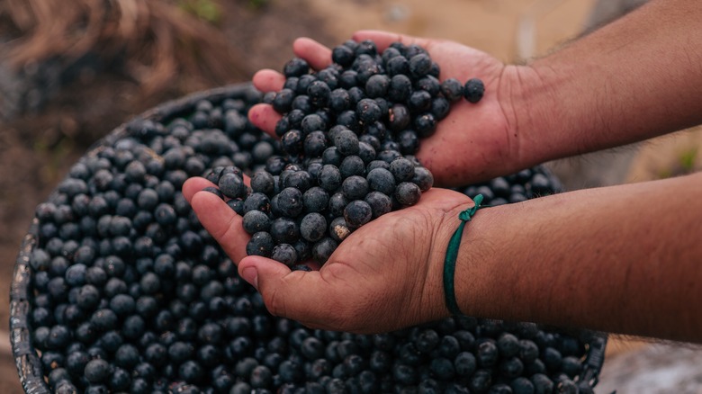 Açaí in a bowl