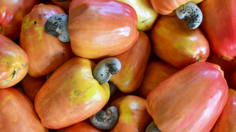 A pile of cashew fruits