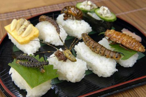 Insect Sushi, Japan