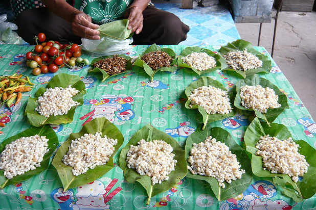 Weaver-Ant Pupae, Laos and Thailand