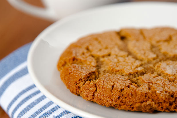 Soft Molasses Cookie