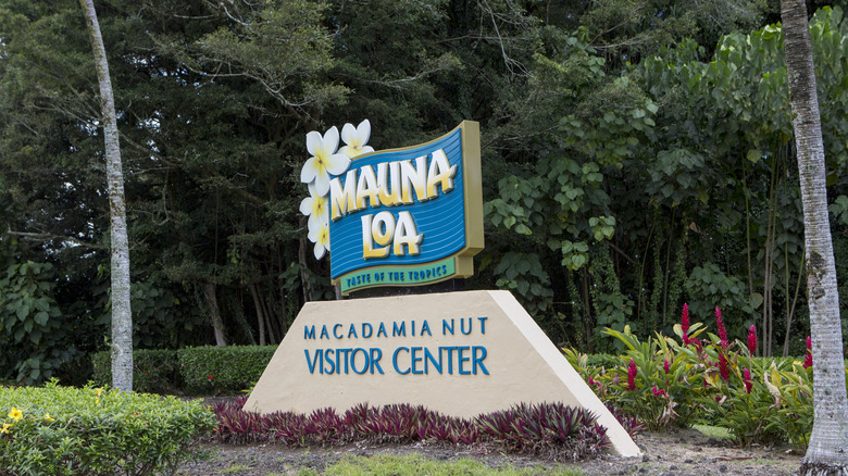 Mauna Loa macadamia nut sign