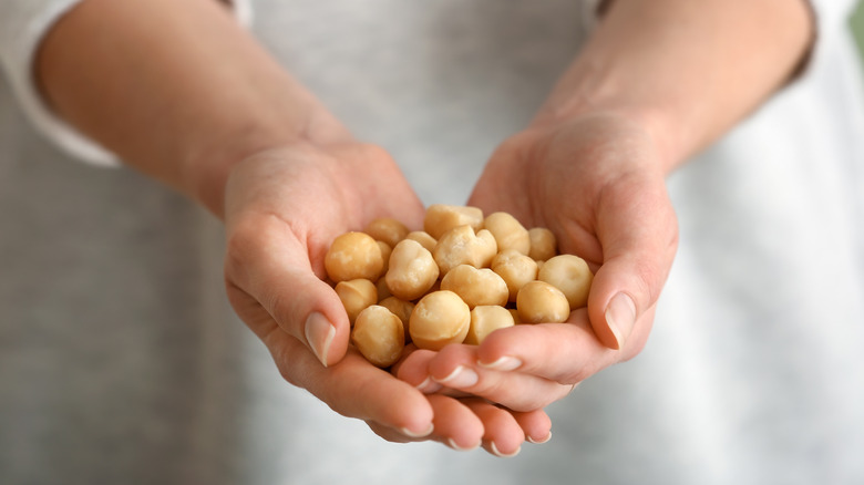 hand holding macadamia nuts