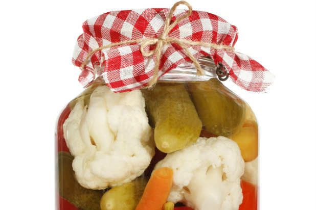 Fermented Foods 