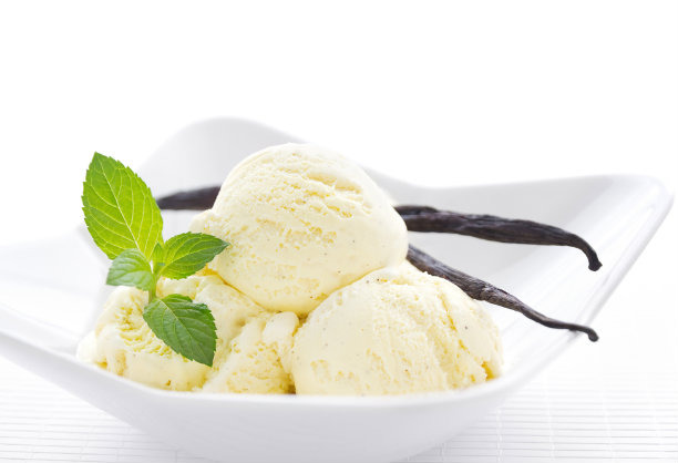 Rich Vanilla Ice Cream