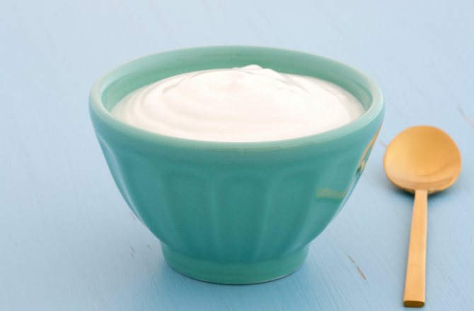 Plain Yogurt