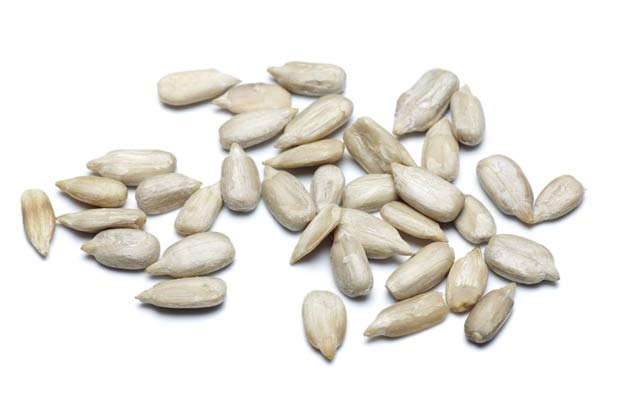 Seeds