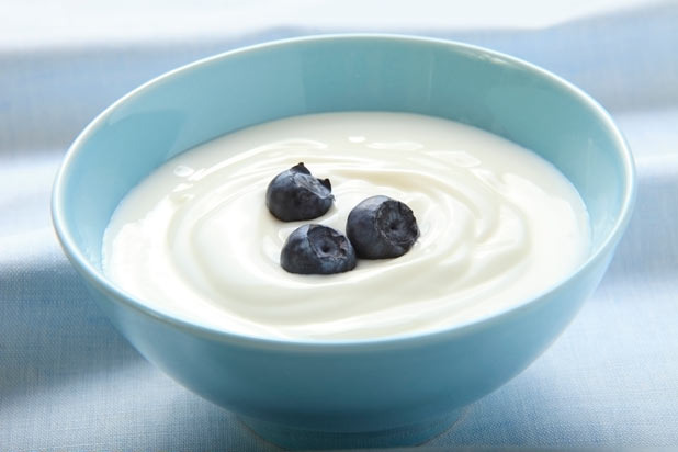 Probiotic Yogurt