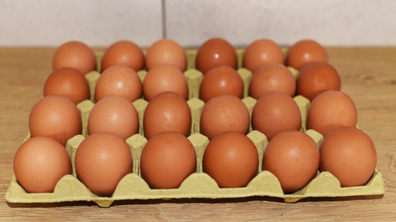 chicken eggs in carton