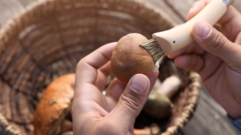 person cleaning mushrooms