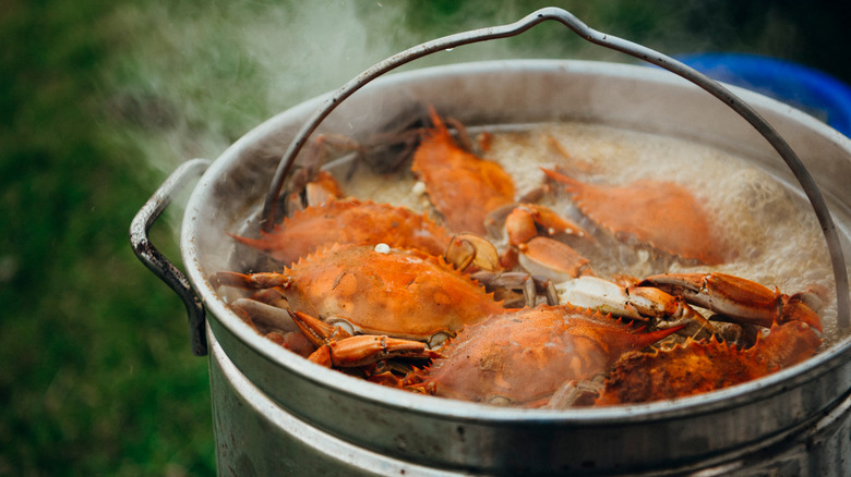 Pot of boiling crabs