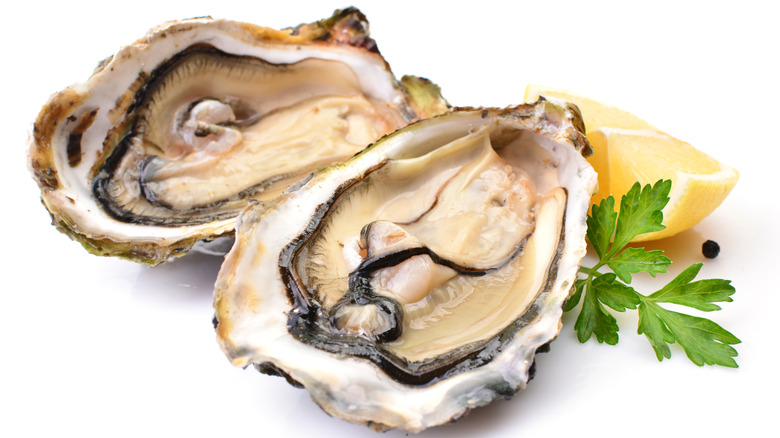 Oysters with parsley