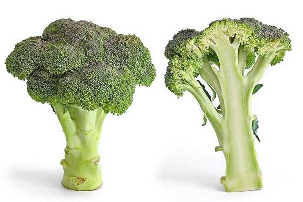 Broccoli