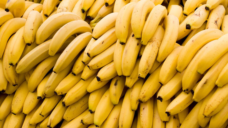 pile of yellow bananas 