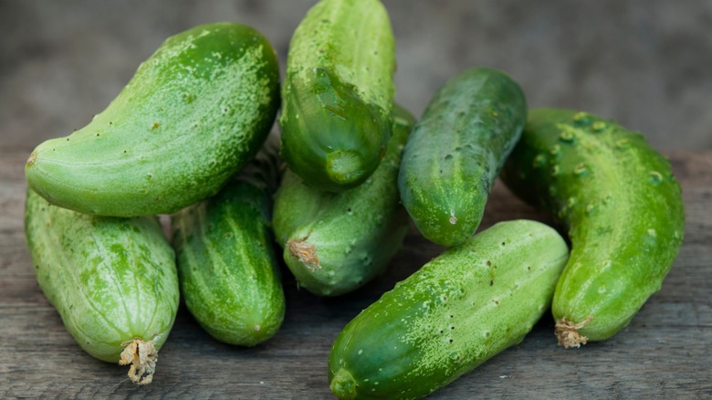 pile of short cucumbers