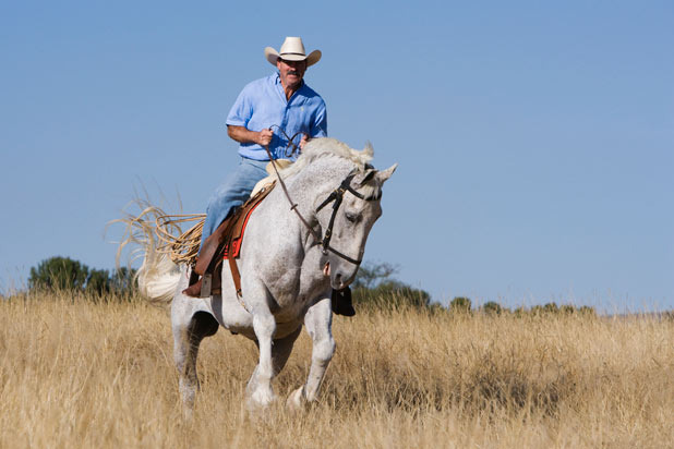 A Drunk Man, A Pug, and Their Horse