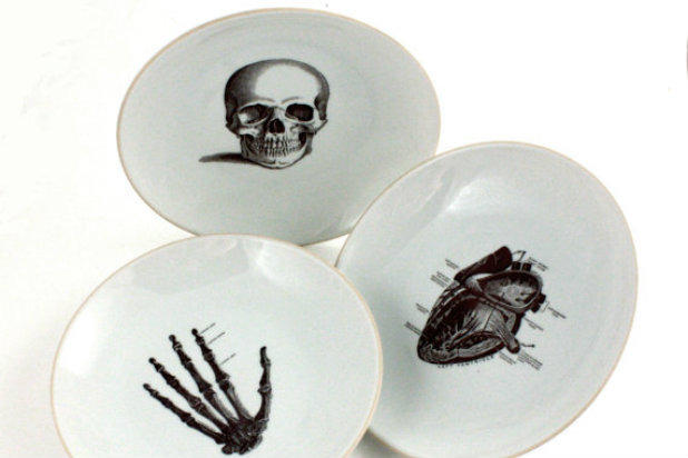 Anatomy Plate