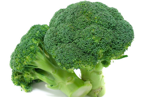 Broccoli