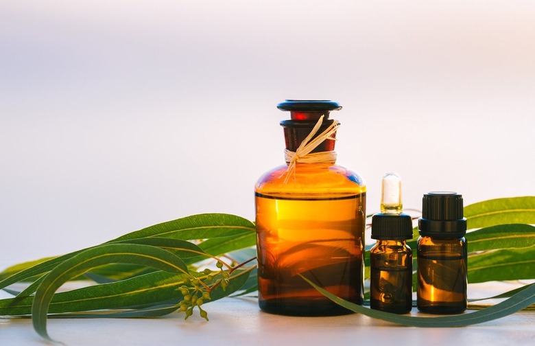 Eucalyptus Oil 