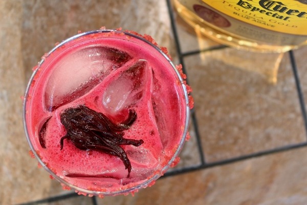 Hibiscus Margarita