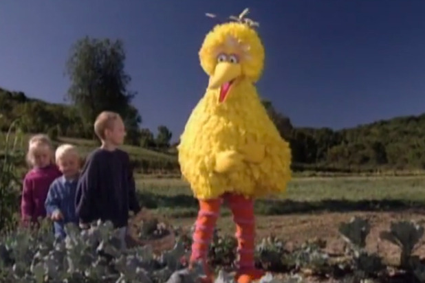 Big Bird Visits a Farm