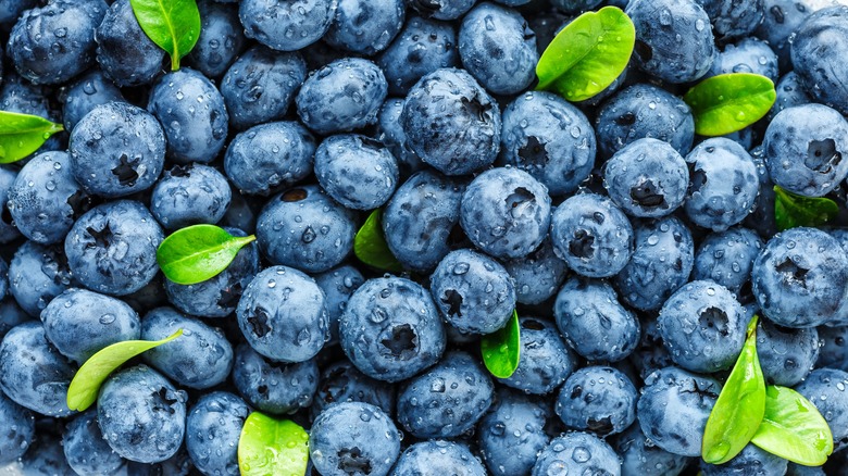 Blueberries and a few leaves