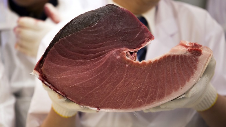 section of fresh cut tuna