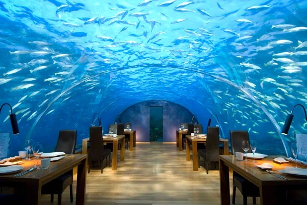 1. Ithaa Undersea Restaurant, Conrad Maldives Rangali Island, Maldives