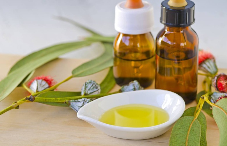 Eucalyptus Oil