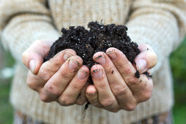 10. Connecticut Composting