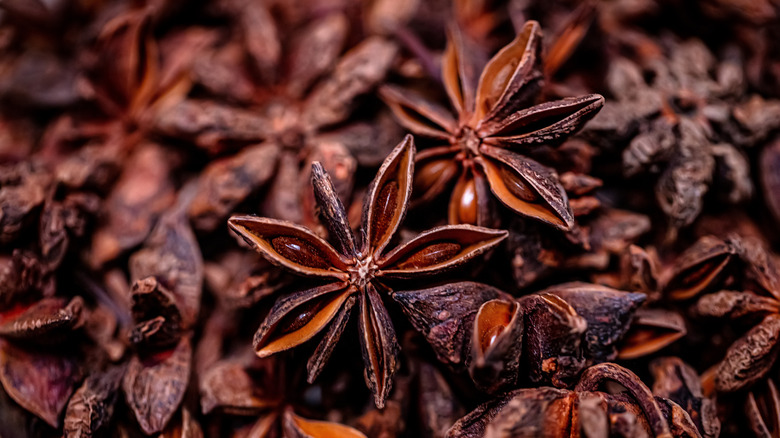 dried star anise close-up