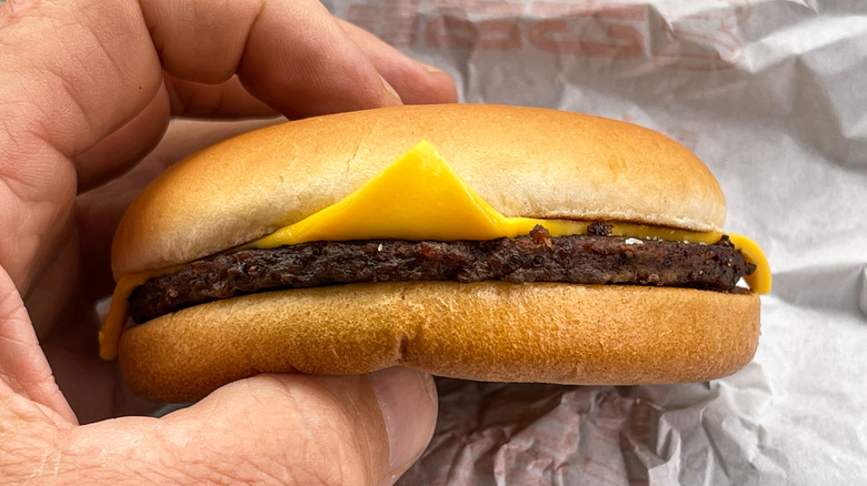 hand holding burger