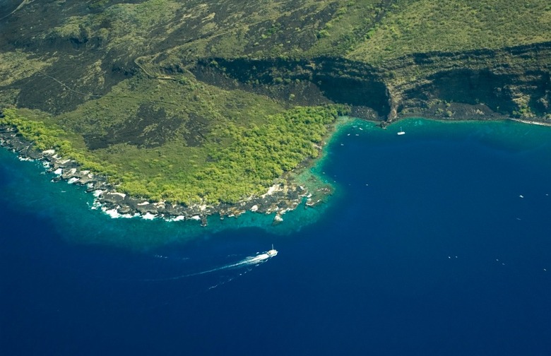 Snorkeling at Kealakekua Bay, Big Island