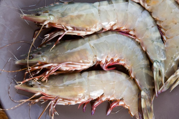 7. Devein Shrimp Without Cutting Into Them