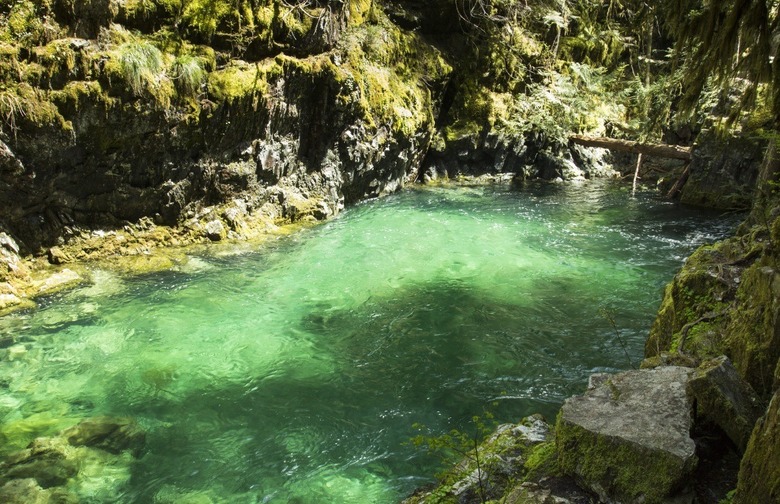 Opal Pool: Oregon