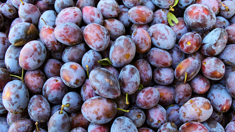 close up of pile of plums