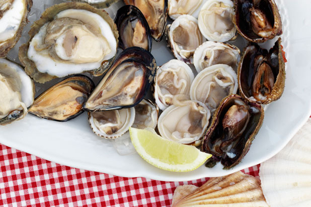 Oysters, Mussels, and Other Shellfish