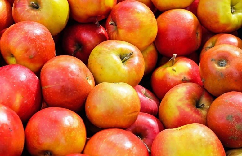 Apples Have More Genes Than Humans Do