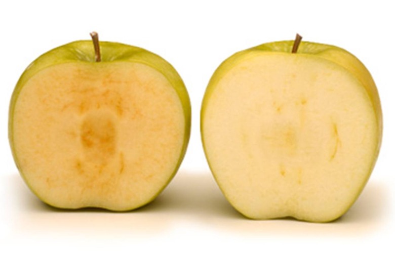 A Genetically Engineered Apple Variety Doesn't Turn Brown 