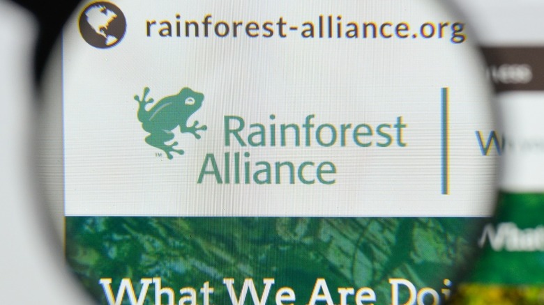 Rainforest Alliance seal