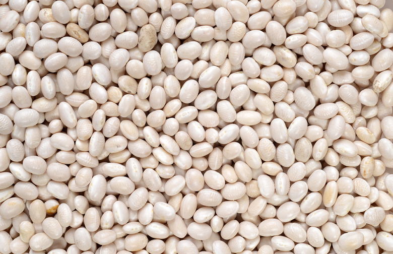 Cooked Navy Beans