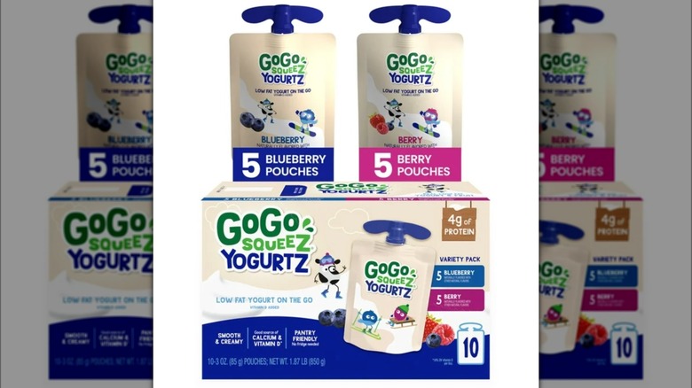 GoGo Blueberry and Berry pouch