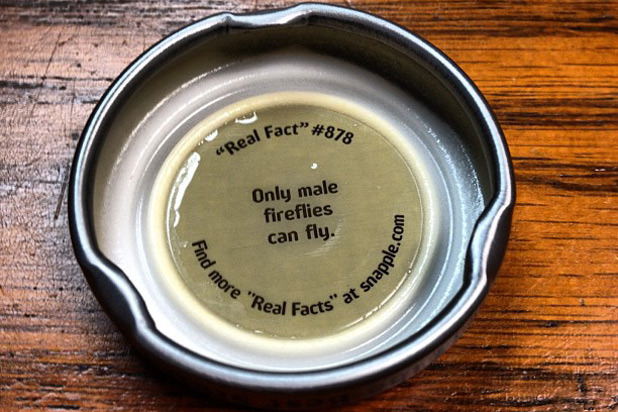 Snapple Real Fact No. 878: Only Male Fireflies Can Fly