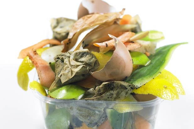 Use Food Scraps 