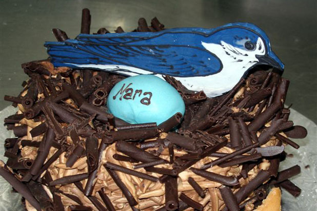 7. Bird (and Nest) Cake