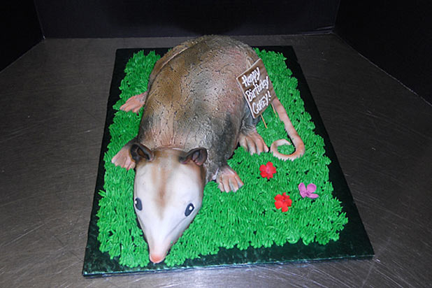 6. Opossum Cake