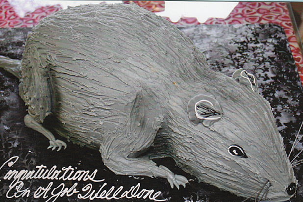 8. Rat Cake